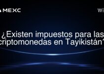 ¿Existen impuestos para las criptomonedas en Tayikistán?