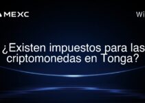 ¿Existen impuestos para las criptomonedas en Tonga?