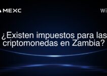 ¿Existen impuestos para las criptomonedas en Zambia?