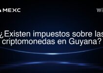 ¿Existen impuestos sobre las criptomonedas en Guyana?