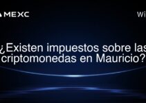 ¿Existen impuestos sobre las criptomonedas en Mauricio?