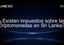 ¿Existen impuestos sobre las criptomonedas en Sri Lanka?