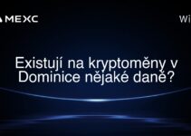 Existují na kryptoměny v Dominice nějaké daně?