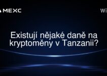 Existují nějaké daně na kryptoměny v Tanzanii?
