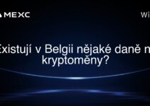 Existují v Belgii nějaké daně na kryptoměny?
