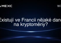 Existují ve Francii nějaké daně na kryptoměny?
