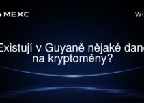 Existují v Guyaně nějaké daně na kryptoměny?