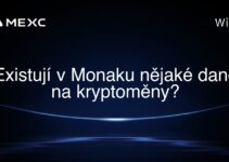 Existují v Monaku nějaké daně na kryptoměny?