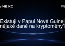 Existují v Papui Nové Guineji nějaké daně na kryptoměny?