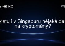 Existují v Singapuru nějaké daně na kryptoměny?