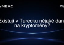 Existují v Turecku nějaké daně na kryptoměny?