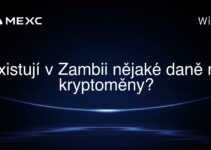 Existují v Zambii nějaké daně na kryptoměny?