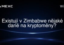 Existují v Zimbabwe nějaké daně na kryptoměny?