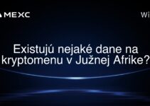 Existujú nejaké dane na kryptomenu v Južnej Afrike?
