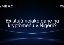 Existujú nejaké dane na kryptomenu v Nigérii?