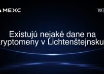 Existujú nejaké dane na kryptomeny v Lichtenštejnsku?