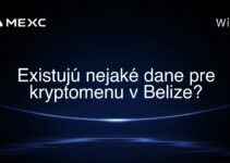 Existujú nejaké dane pre kryptomenu v Belize?
