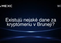 Existujú nejaké dane za kryptomenu v Bruneji?