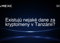 Existujú nejaké dane za kryptomeny v Tanzánii?
