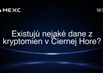 Existujú nejaké dane z kryptomien v Čiernej Hore?