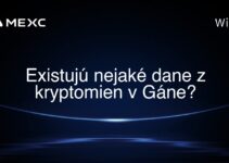 Existujú nejaké dane z kryptomien v Gáne?