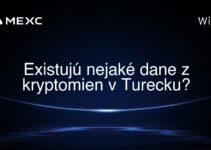 Existujú nejaké dane z kryptomien v Turecku?