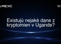 Existujú nejaké dane z kryptomien v Ugande?