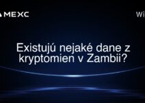 Existujú nejaké dane z kryptomien v Zambii?