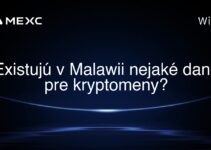 Existujú v Malawii nejaké dane pre kryptomeny?