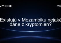 Existujú v Mozambiku nejaké dane z kryptomien?
