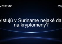 Existujú v Suriname nejaké dane na kryptomeny?