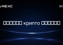 在津巴布韦， крипто 采矿合法吗？