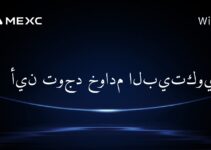 أين توجد خوادم البيتكوين؟