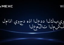 لماذا يوجد هذا العدد الكبير من العملات المشفرة؟