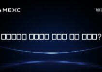 비즈니스로 비트코인 결제를 받는 방법은?