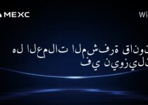 هل العملات المشفرة قانونية في نيوزيلندا؟