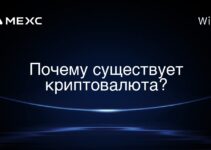 Почему существует криптовалюта?