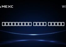 بنیانگذار هوبی کیست؟