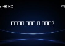 솔라나를 채굴할 수 있나요?