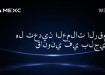 هل تعدين العملات الرقمية قانوني في بلجيكا؟