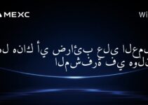 هل هناك أي ضرائب على العملات المشفرة في هولندا؟