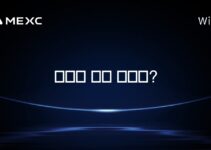 솔라나 채굴 방법은?