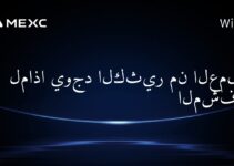 لماذا يوجد الكثير من العملات المشفرة؟