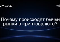 Почему происходят бычьи рынки в криптовалюте?