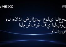هل هناك ضرائب على العملات المشفرة في البوسنة والهرسك؟