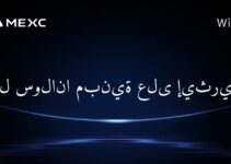 هل سولانا مبنية على إيثريوم؟