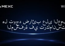 هل توجد ضرائب على العملات المشفرة في تركمانستان؟