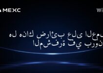 هل هناك ضرائب على العملات المشفرة في بروناي؟