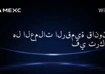 هل العملات الرقمية قانونية في تركيا؟