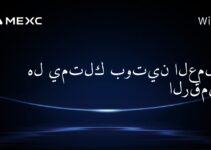هل يمتلك بوتين العملات الرقمية؟